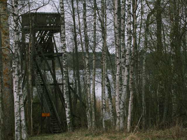 Akonpohja
