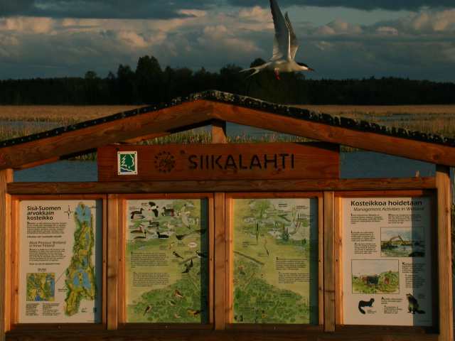 Siikalahti