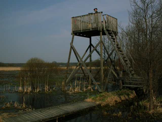 Tarassiinlahti